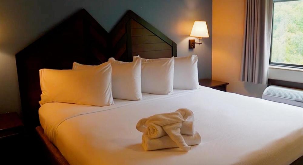 Standard Suite interior